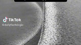 Psycologies facts