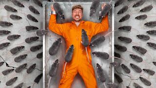 Face Your Biggest Fear To Win $800,000