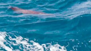 Watch this squid attack my top water lure in middle east