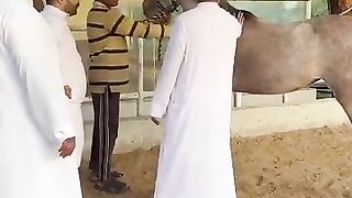 Viral real _funny video