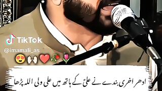 Asif Raza Alivi