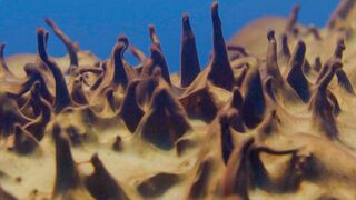 Ancient Life Discovered in Antarctica | Behind the Scenes of Frozen Planet II
