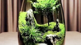 beautiful nature ????