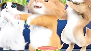 Dudi dam phiên bản đội dưa hấu của biệt đội meow và chó ????????