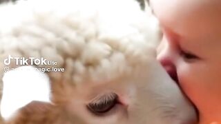 Bebês com os animais lindos e fofos ????????