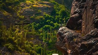 beautiful natural video