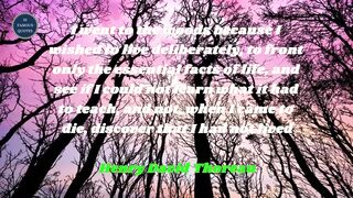 famous quotes about life | Part 87