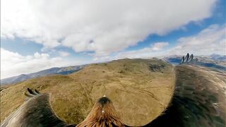 Just How Good is Eagle Vision? | Natural World: Super Powered Eagles