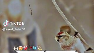 Zakar