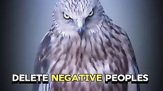 Delete Negative Peoples
