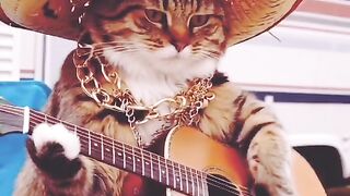 #catcute????????????????