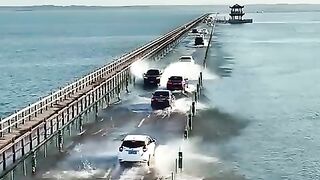 trending_#facts_sorthttps___youtube.com_@explainerhub-m2o_si=vt8ohcXXRvKl1lKX(480p).