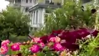 Mystical Interlaken: Embracing the Beauty of Rainy Walks