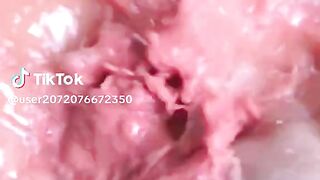 wow, con gì đây #satisfyingvideo #animals #độngvật