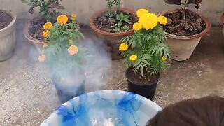 فكرة رائعة و مضحكه