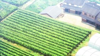 Kekkon suru tte, Hontou desu ka Episodes 5