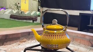 Green Tea in Camp????
