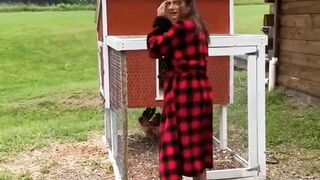 Funny hen
