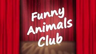 PETS FUNY