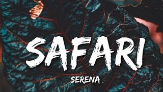 Safari music # song#