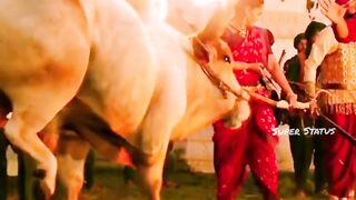 Bahubali Prabhas Attitude part 2