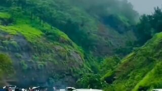 Muree