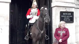 Funny King's Guard & Tourists Moments
