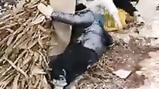 Aww New Funny videos