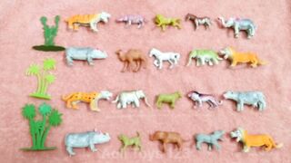 Lots Of Zoo Animals For Kids |Animals|Elephant|Tiger