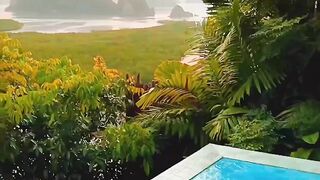 Vacation