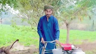 Donkey milk or dodhi
