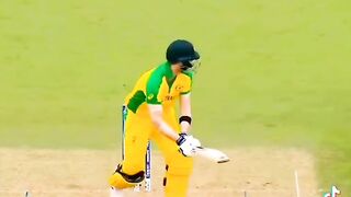 Cricket fights in the world