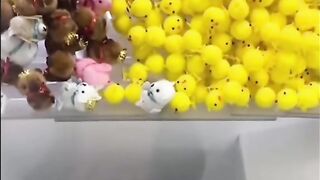 Tiktok funny moment.
