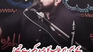 Allama Asif Raza Alvi