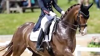 #CharlotteDujardin charlotte dujardin horse  judgement during