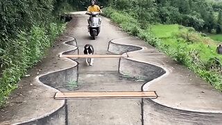 Street Art Illusions That Leap Off Ground_ ????✨_IllusionArt _art _drawing _illusionvideo _shortvideo