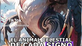 El animal celeste de cada signo del zodíaco.????‍????????