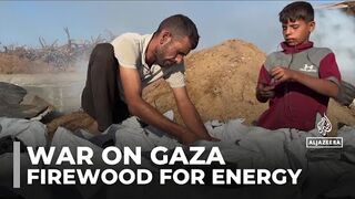 Life without power- Palestinians in Gaza turning to firewood for energy