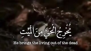 قران كريم