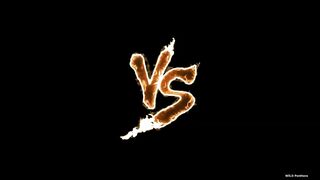 Gorilla VS Lion Real Fight.