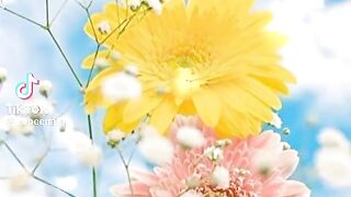 Good morning wish 2024