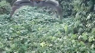 Cleaning weed with the good ol pasta technique