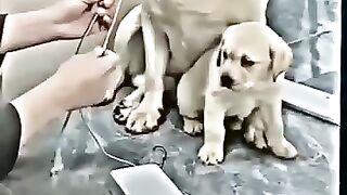Maa hoti hai duniya waleho