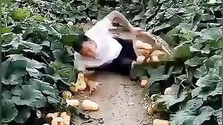 is this fruit change our health? #122#shorts????...