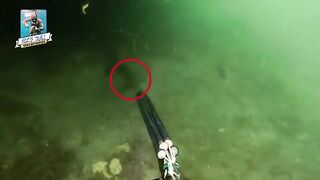 $1000 Giant Grouper Caught! Discovering an Underwater Ghost Ship Adventure! 2024
