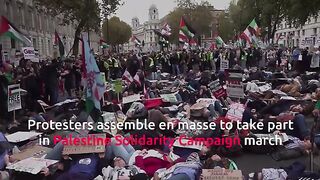 Pro-Palestine protestors take to Whitehall and US Embassy in London