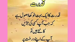 Shariat Ke Masail Seekhain
