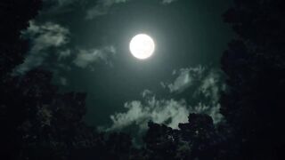 Demon Slayer S1 episode 18 Hindi Dub