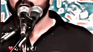 Allama Asif Raza Alvi