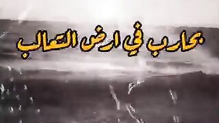 فيدوهات